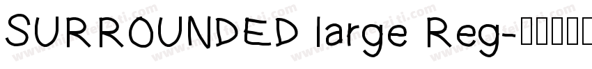 SURROUNDED large Reg字体转换